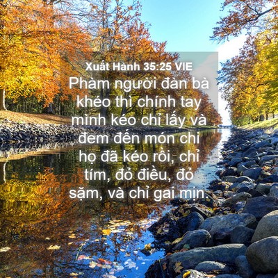 Picture 04 - Xuất Hành 35:25 VIE - Phàm người đàn bà khéo thì chính tay - Bible Verse Picture