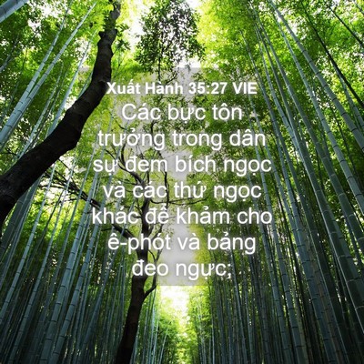 Picture 04 - Xuất Hành 35:27 VIE - Các bực tôn trưởng trong dân sự đem - Bible Verse Picture