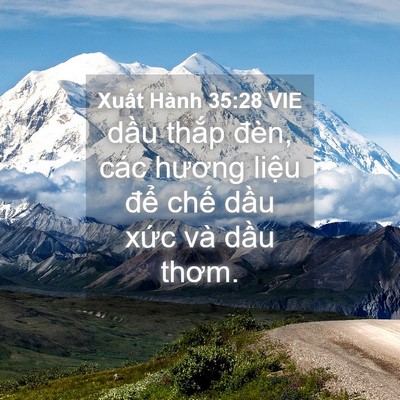 Picture 04 - Xuất Hành 35:28 VIE - dầu thắp đèn, các hương liệu để - Bible Verse Picture