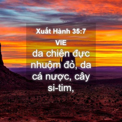 Picture 04 - Xuất Hành 35:7 VIE - da chiên đực nhuộm đỏ, da cá nược, - Bible Verse Picture