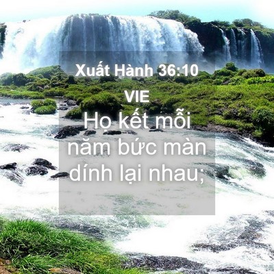 Picture 04 - Xuất Hành 36:10 VIE - Họ kết mỗi năm bức màn dính lại - Bible Verse Picture