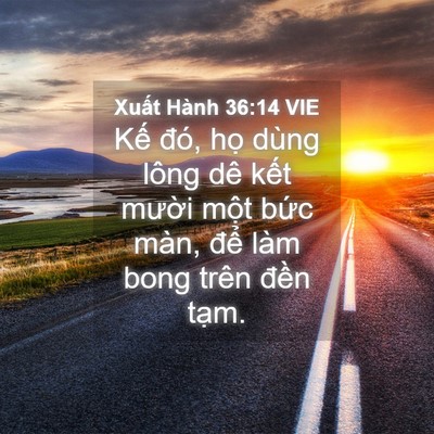 Picture 04 - Xuất Hành 36:14 VIE - Kế đó, họ dùng lông dê kết mười - Bible Verse Picture