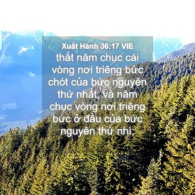 Picture 04 - Xuất Hành 36:17 VIE - thắt năm chục cái vòng nơi triêng bức - Bible Verse Picture