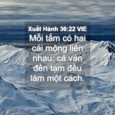 Picture 04 - Xuất Hành 36:22 VIE - Mỗi tấm có hai cái mộng liên nhau: cả - Bible Verse Picture