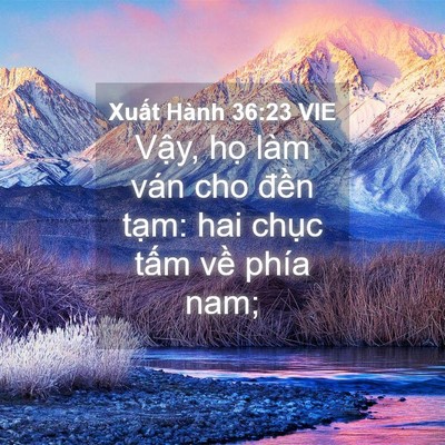 Picture 04 - Xuất Hành 36:23 VIE - Vậy, họ làm ván cho đền tạm: hai - Bible Verse Picture