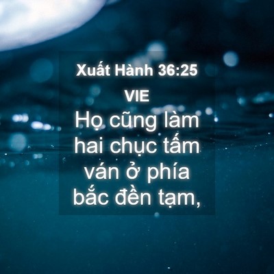 Picture 04 - Xuất Hành 36:25 VIE - Họ cũng làm hai chục tấm ván ở phía - Bible Verse Picture