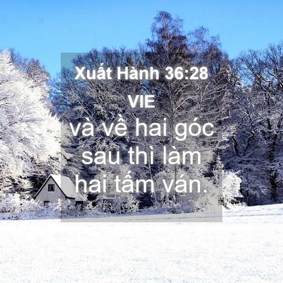 Picture 04 - Xuất Hành 36:28 VIE - và về hai góc sau thì làm hai tấm - Bible Verse Picture