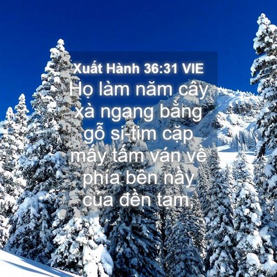 Picture 04 - Xuất Hành 36:31 VIE - Họ làm năm cây xà ngang bằng gỗ si-tim - Bible Verse Picture