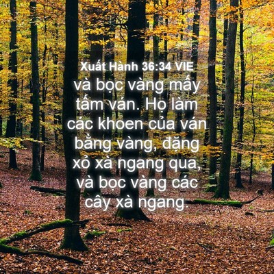 Picture 04 - Xuất Hành 36:34 VIE - và bọc vàng mấy tấm ván. Họ làm các - Bible Verse Picture