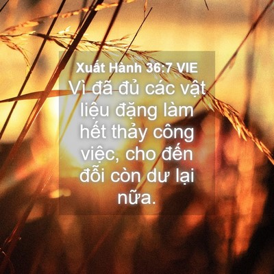 Picture 04 - Xuất Hành 36:7 VIE - Vì đã đủ các vật liệu đặng làm - Bible Verse Picture