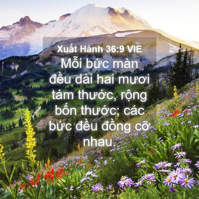 Picture 04 - Xuất Hành 36:9 VIE - Mỗi bức màn đều dài hai mươi tám - Bible Verse Picture