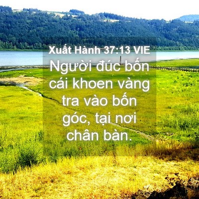 Picture 04 - Xuất Hành 37:13 VIE - Người đúc bốn cái khoen vàng tra vào - Bible Verse Picture
