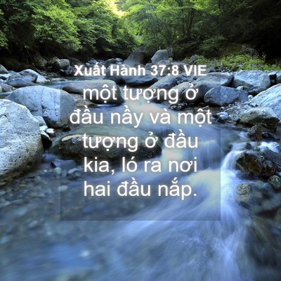 Picture 04 - Xuất Hành 37:8 VIE - một tượng ở đầu nầy và một - Bible Verse Picture