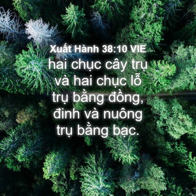 Picture 04 - Xuất Hành 38:10 VIE - hai chục cây trụ và hai chục lỗ trụ - Bible Verse Picture
