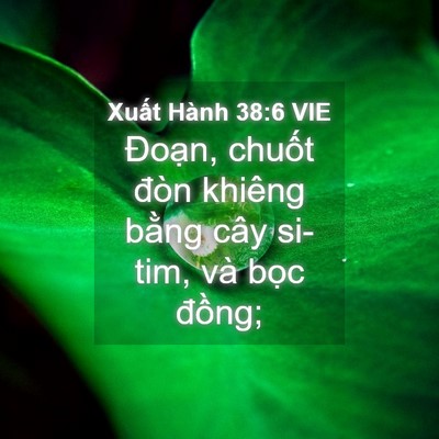 Picture 04 - Xuất Hành 38:6 VIE - Đoạn, chuốt đòn khiêng bằng cây - Bible Verse Picture