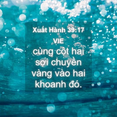Picture 04 - Xuất Hành 39:17 VIE - cùng cột hai sợi chuyền vàng vào hai - Bible Verse Picture