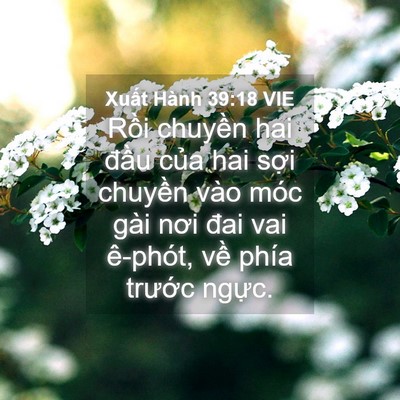 Picture 04 - Xuất Hành 39:18 VIE - Rồi chuyền hai đầu của hai sợi - Bible Verse Picture