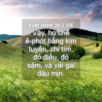 Picture 04 - Xuất Hành 39:2 VIE - Vậy, họ chế ê-phót bằng kim tuyến, - Bible Verse Picture