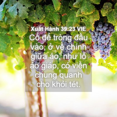 Picture 04 - Xuất Hành 39:23 VIE - Cổ để tròng đầu vào, ở về chính - Bible Verse Picture