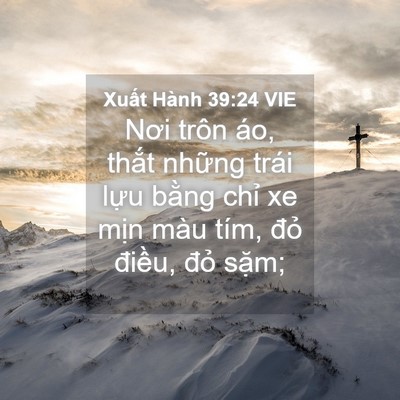 Picture 04 - Xuất Hành 39:24 VIE - Nơi trôn áo, thắt những trái lựu bằng - Bible Verse Picture