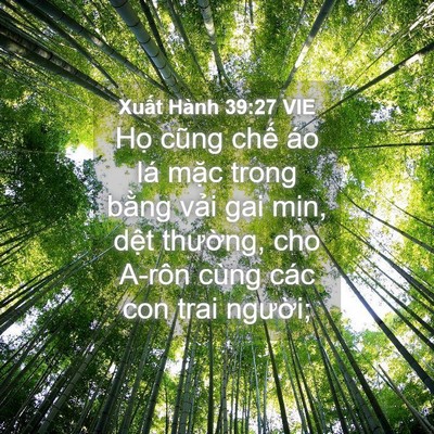 Picture 04 - Xuất Hành 39:27 VIE - Họ cũng chế áo lá mặc trong bằng vải - Bible Verse Picture