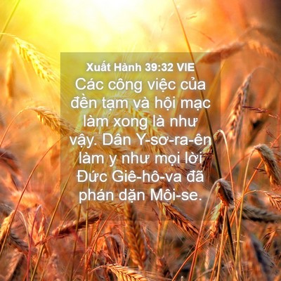 Picture 04 - Xuất Hành 39:32 VIE - Các công việc của đền tạm và hội - Bible Verse Picture