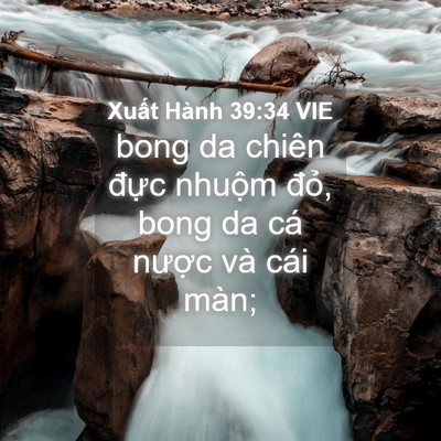 Picture 04 - Xuất Hành 39:34 VIE - bong da chiên đực nhuộm đỏ, bong da cá - Bible Verse Picture