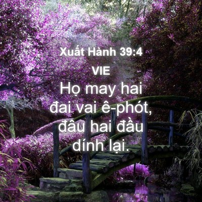 Picture 04 - Xuất Hành 39:4 VIE - Họ may hai đai vai ê-phót, đâu hai đầu - Bible Verse Picture