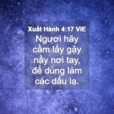 Picture 04 - Xuất Hành 4:17 VIE - Ngươi hãy cầm lấy gậy nầy nơi tay, - Bible Verse Picture