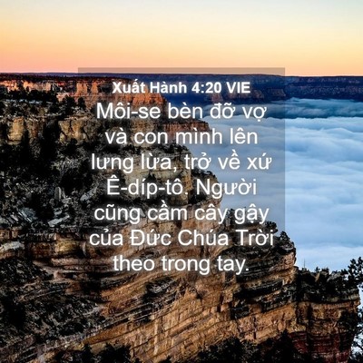 Picture 04 - Xuất Hành 4:20 VIE - Môi-se bèn đỡ vợ và con mình lên lưng - Bible Verse Picture