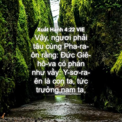 Picture 04 - Xuất Hành 4:22 VIE - Vậy, ngươi phải tâu cùng Pha-ra-ôn - Bible Verse Picture