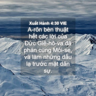 Picture 04 - Xuất Hành 4:30 VIE - A-rôn bèn thuật hết các lời của Đức - Bible Verse Picture