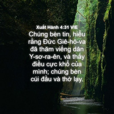 Picture 04 - Xuất Hành 4:31 VIE - Chúng bèn tin, hiểu rằng Đức Giê-hô-va - Bible Verse Picture