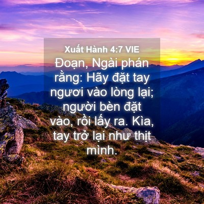 Picture 04 - Xuất Hành 4:7 VIE - Đoạn, Ngài phán rằng: Hãy đặt tay - Bible Verse Picture