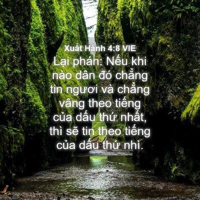 Picture 04 - Xuất Hành 4:8 VIE - Lại phán: Nếu khi nào dân đó chẳng tin - Bible Verse Picture