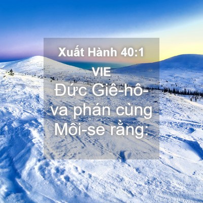 Picture 04 - Xuất Hành 40:1 VIE - Đức Giê-hô-va phán cùng Môi-se - Bible Verse Picture