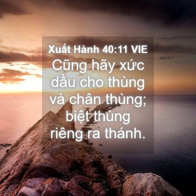Picture 04 - Xuất Hành 40:11 VIE - Cũng hãy xức dầu cho thùng và chân - Bible Verse Picture