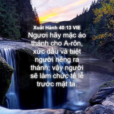 Picture 04 - Xuất Hành 40:13 VIE - Ngươi hãy mặc áo thánh cho A-rôn, xức - Bible Verse Picture