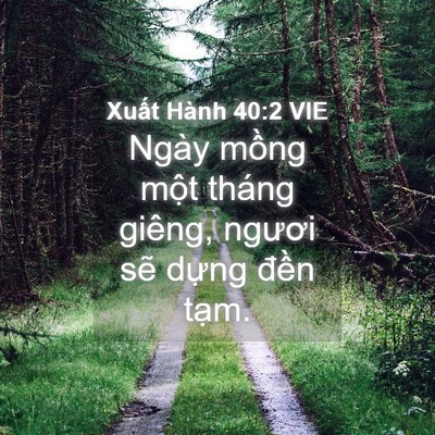Picture 04 - Xuất Hành 40:2 VIE - Ngày mồng một tháng giêng, ngươi sẽ - Bible Verse Picture