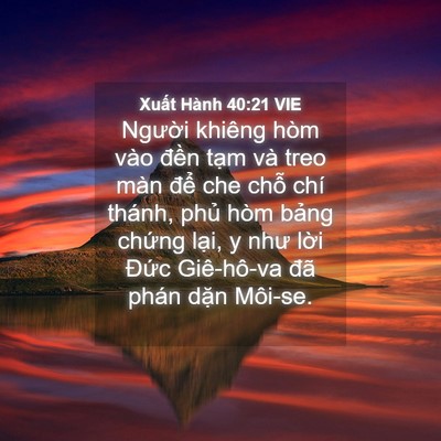 Picture 04 - Xuất Hành 40:21 VIE - Người khiêng hòm vào đền tạm và treo - Bible Verse Picture