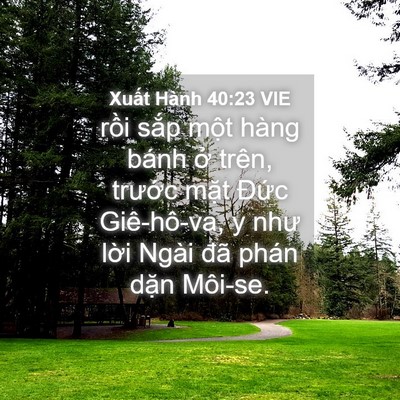 Picture 04 - Xuất Hành 40:23 VIE - rồi sắp một hàng bánh ở trên, trước - Bible Verse Picture
