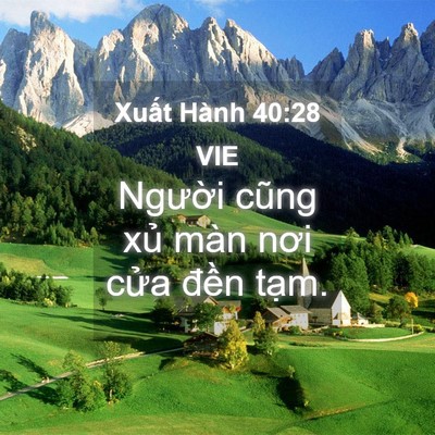 Picture 04 - Xuất Hành 40:28 VIE - Người cũng xủ màn nơi cửa đền - Bible Verse Picture