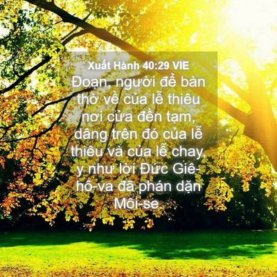 Picture 04 - Xuất Hành 40:29 VIE - Đoạn, người để bàn thờ về của - Bible Verse Picture