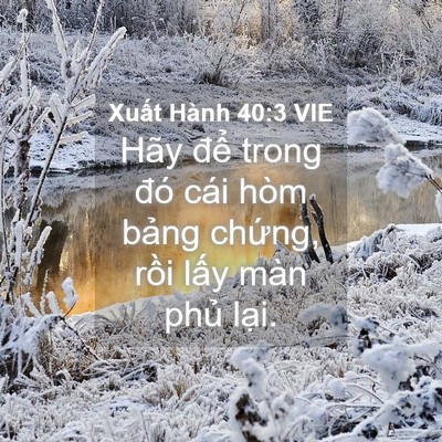Picture 04 - Xuất Hành 40:3 VIE - Hãy để trong đó cái hòm bảng chứng, - Bible Verse Picture