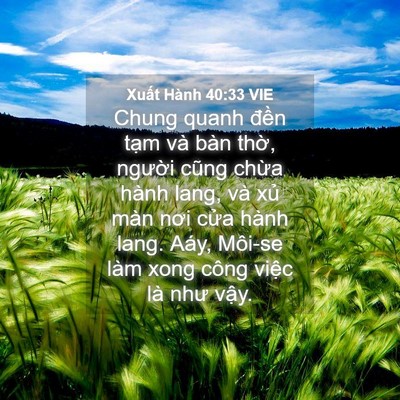 Picture 04 - Xuất Hành 40:33 VIE - Chung quanh đền tạm và bàn thờ, người - Bible Verse Picture