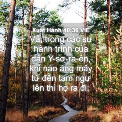 Picture 04 - Xuất Hành 40:36 VIE - Vả, trong các sự hành trình của dân - Bible Verse Picture