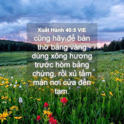 Picture 04 - Xuất Hành 40:5 VIE - cũng hãy để bàn thờ bằng vàng dùng - Bible Verse Picture