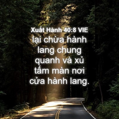 Picture 04 - Xuất Hành 40:8 VIE - lại chừa hành lang chung quanh và xủ - Bible Verse Picture