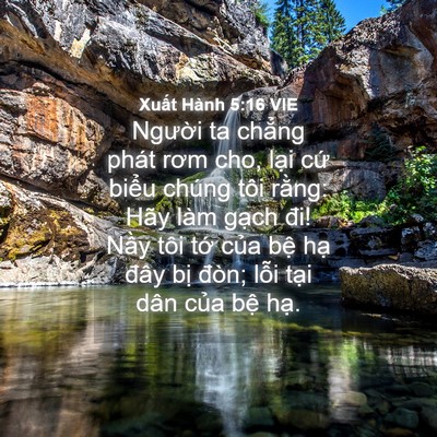 Picture 04 - Xuất Hành 5:16 VIE - Người ta chẳng phát rơm cho, lại cứ - Bible Verse Picture