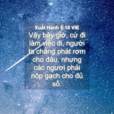 Picture 04 - Xuất Hành 5:18 VIE - Vậy bây giờ, cứ đi làm việc đi, - Bible Verse Picture